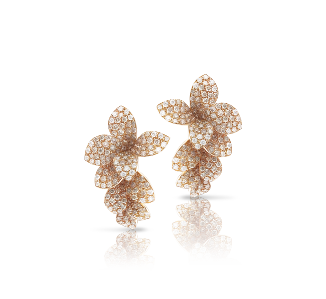 Stelle in Fiore Banner